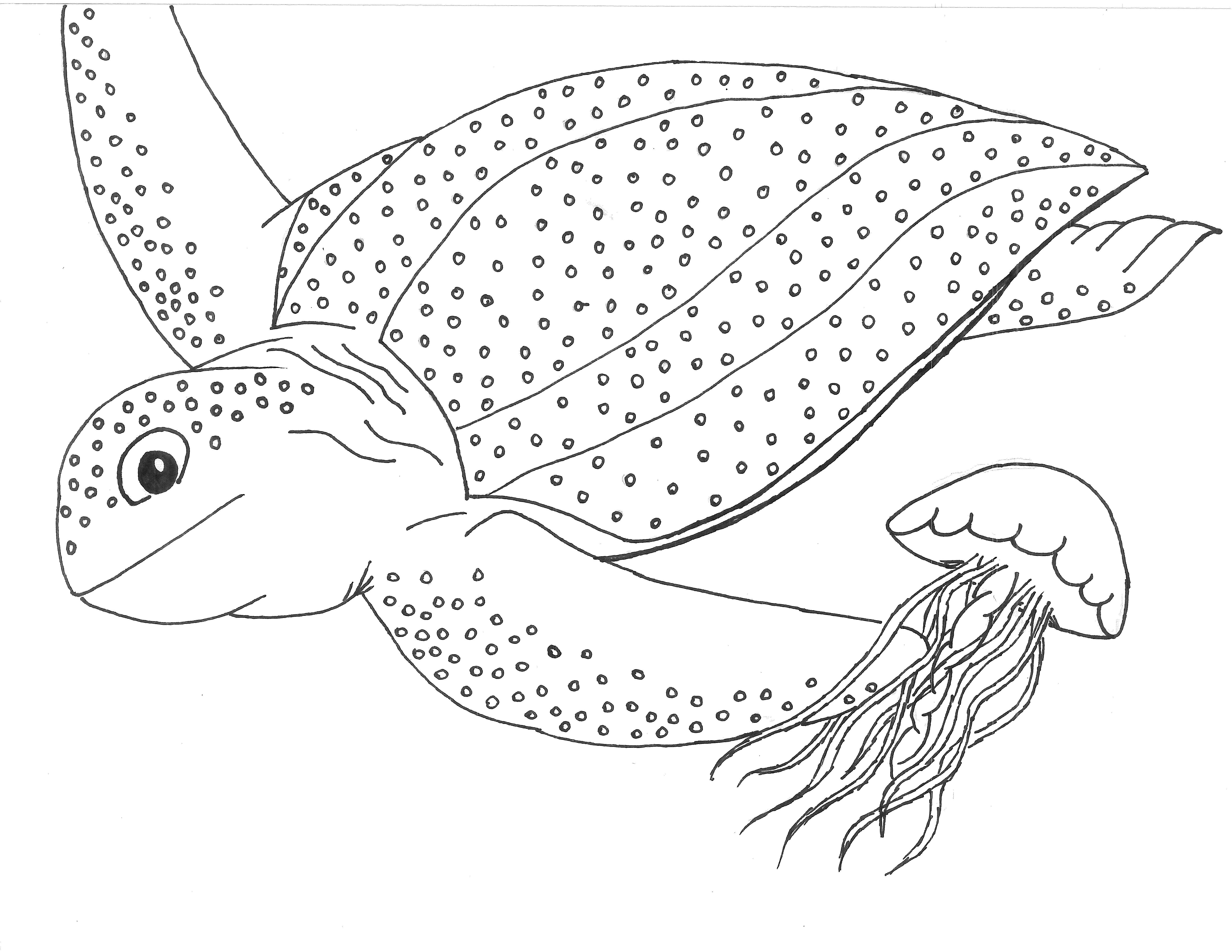 leather back sea turtle coloring pages - photo #3