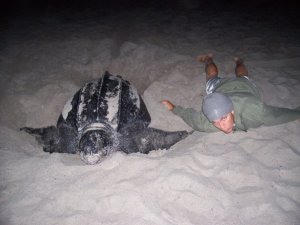 Justin laying next to a Leatherback sea turtle.