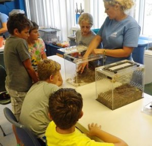 Campers learn how staff care for amphibians