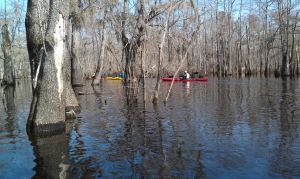 Paddling in with Cape Fear River Watch