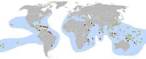 This map from www.nestonline.org shows where hawksbills usually nest