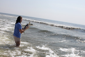 Carol releasing Womble into the ocean.