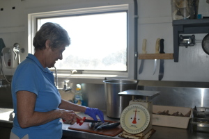 Judy preparing fish to feed out.