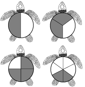 Turtle Fractions Examples