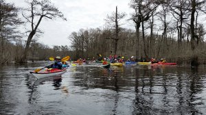 Paddling with Cape Fear River Watch