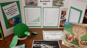 A sea turtle display full of pictures, graphs, and certificates located in the classroom