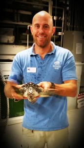 Jeff holds a sea turtle that has normal coloration