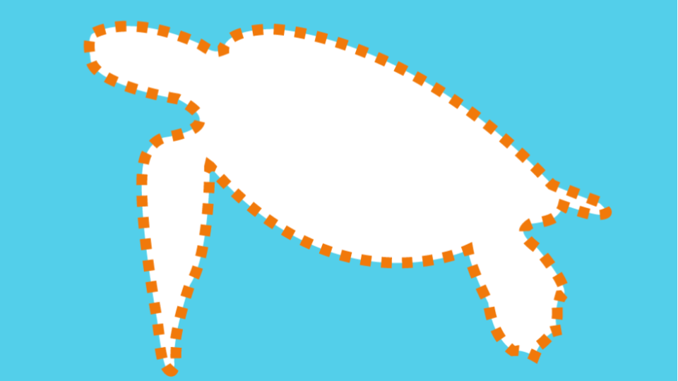 dotted sea turtle